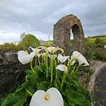 Croi Beag Luxury Omeath Apartament *