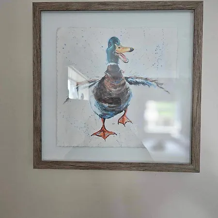 Croi Beag Luxury Omeath Apartament