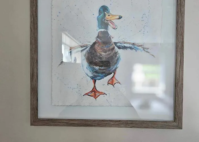 Croi Beag Luxury Omeath Appartamento