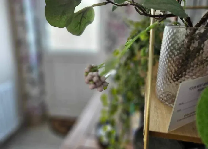 Croi Beag Luxury Omeath Appartamento Dundalk