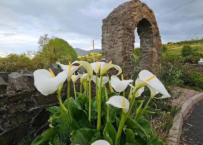 Croi Beag Luxury Omeath Appartement *